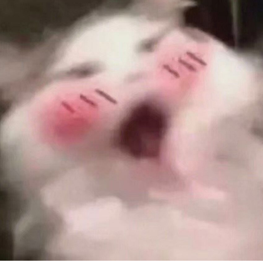 炒菜少放盐谢谢