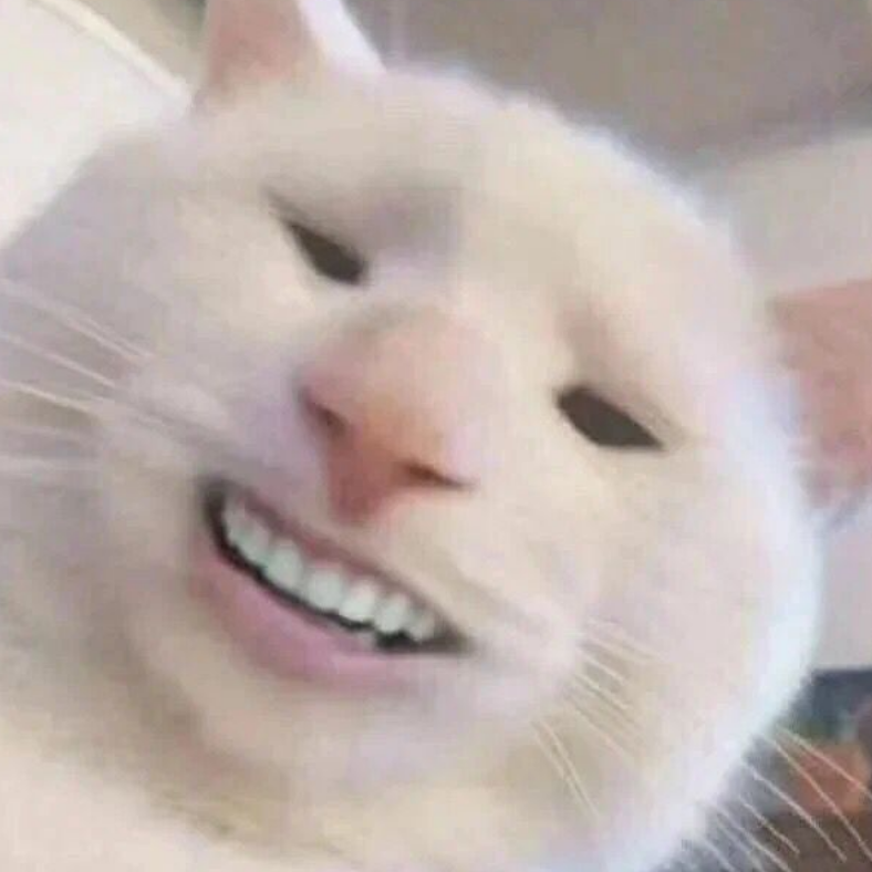 多刷会总会有