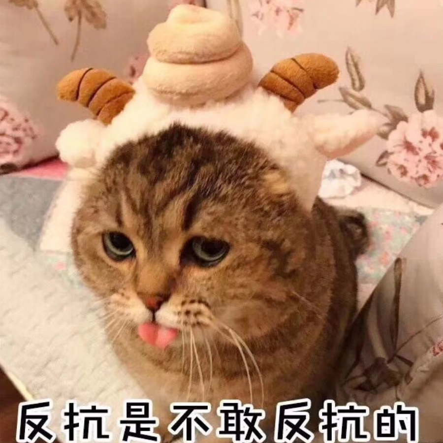 头上顶个碗