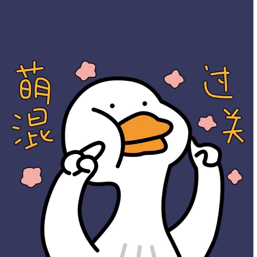 你的皮卡兵鸭