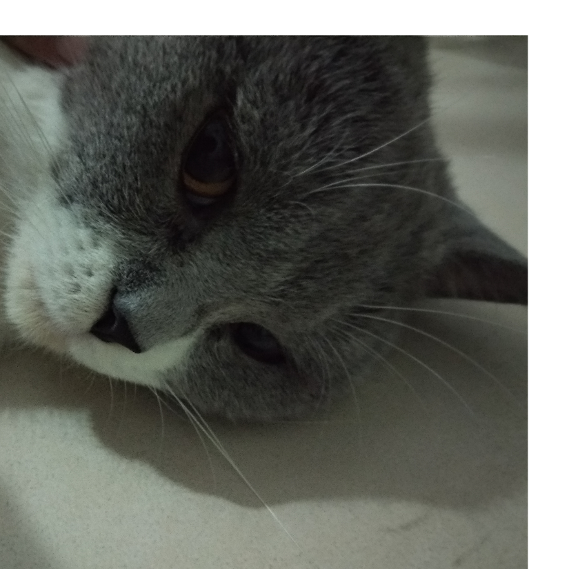 手贱