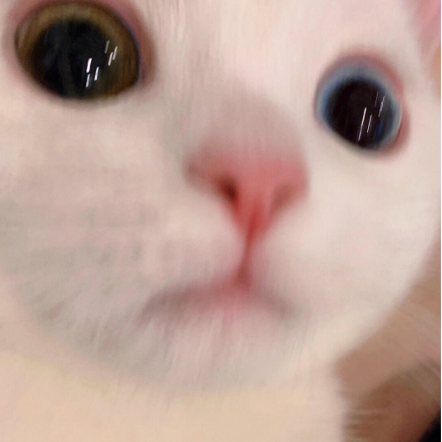 富贵.