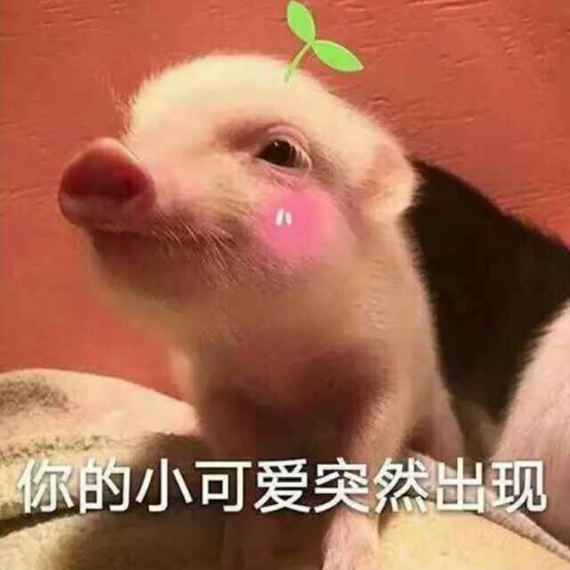 just for star