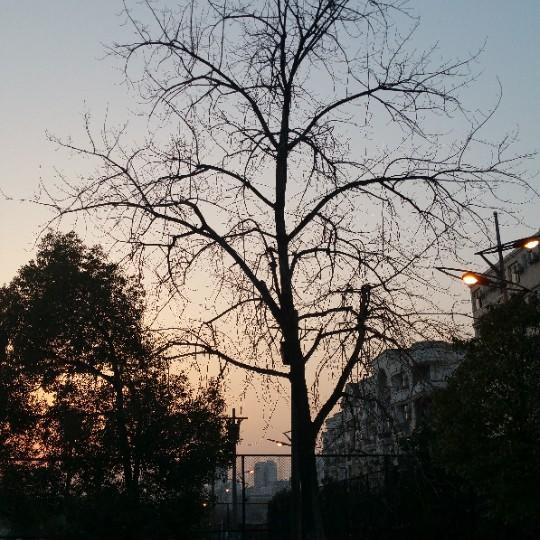 涛