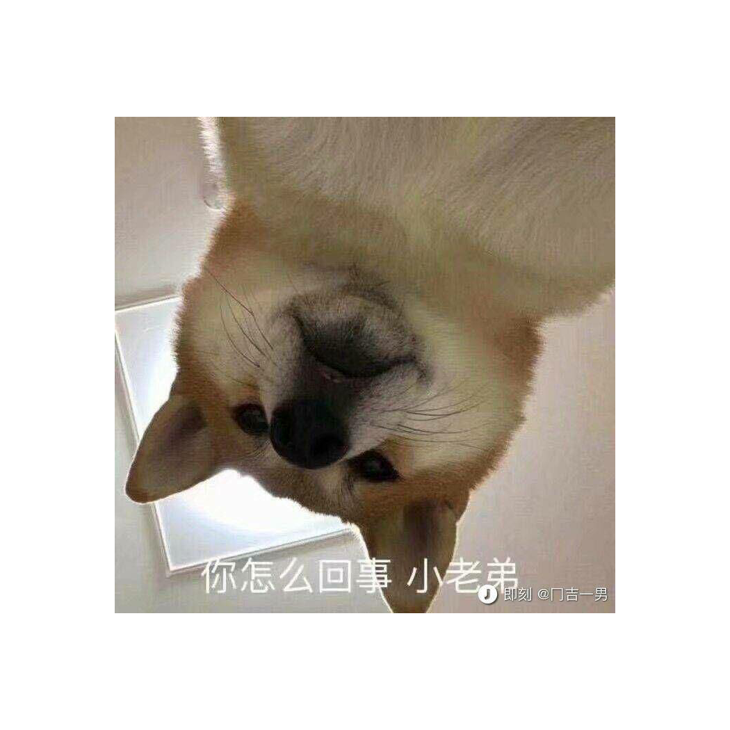 香蕉就是卜呐呐