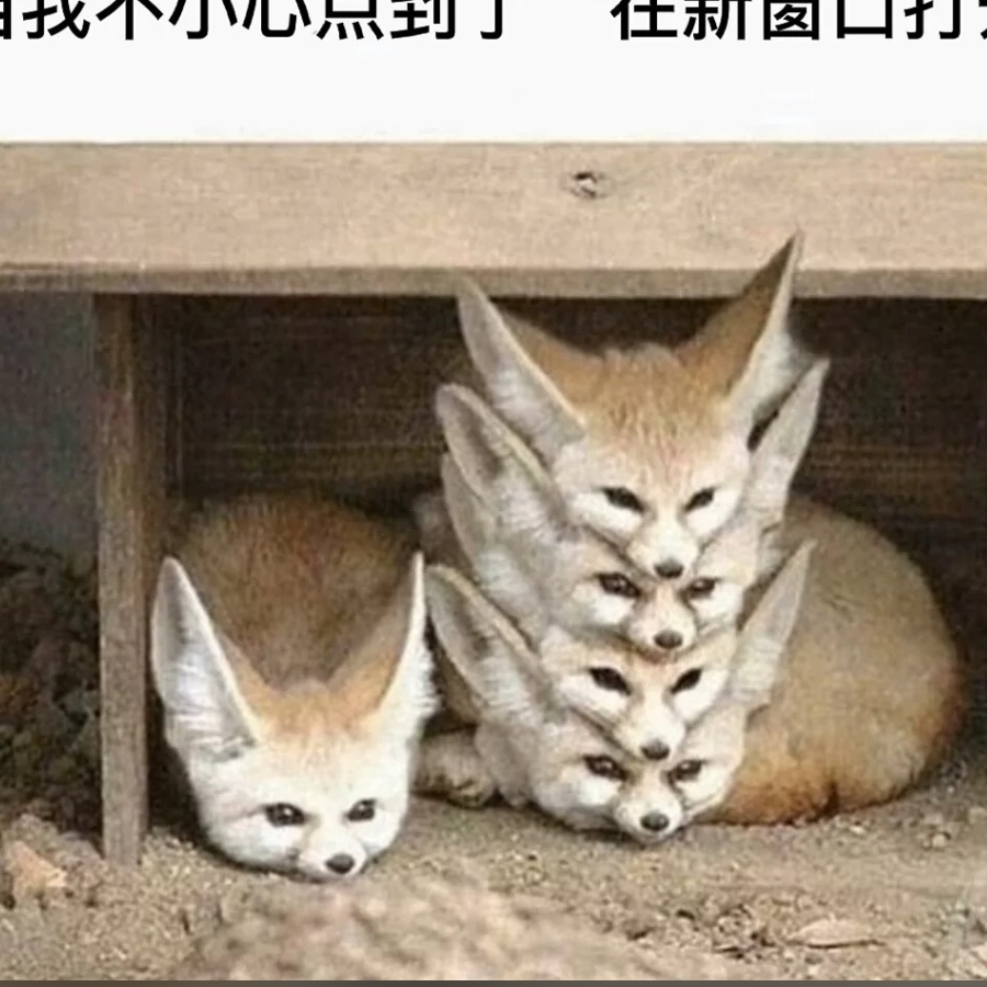 《保底武器这件事》