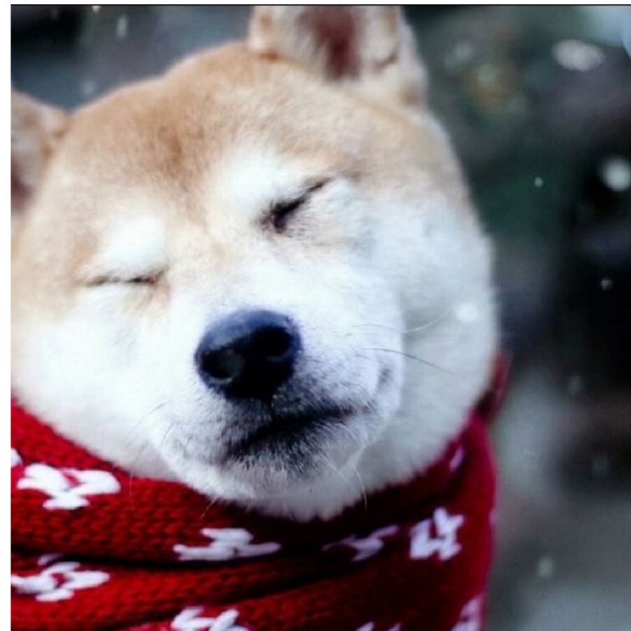 夜小优