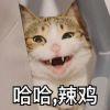随便