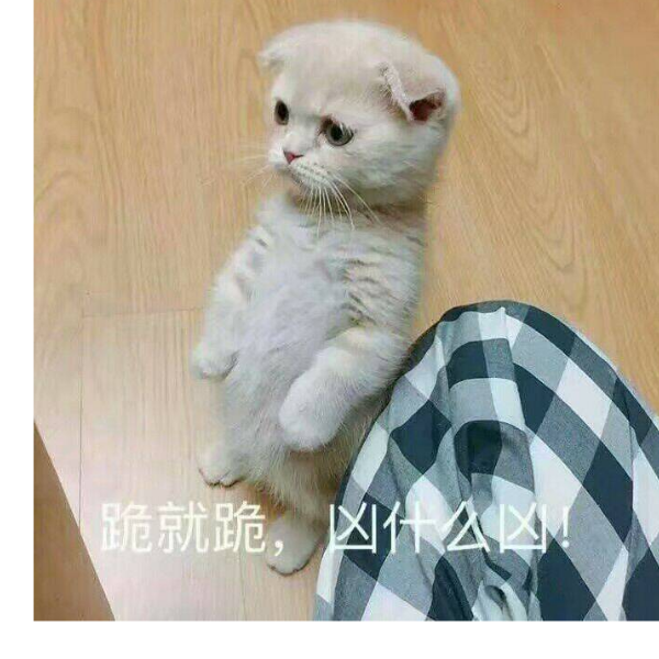 小庄
