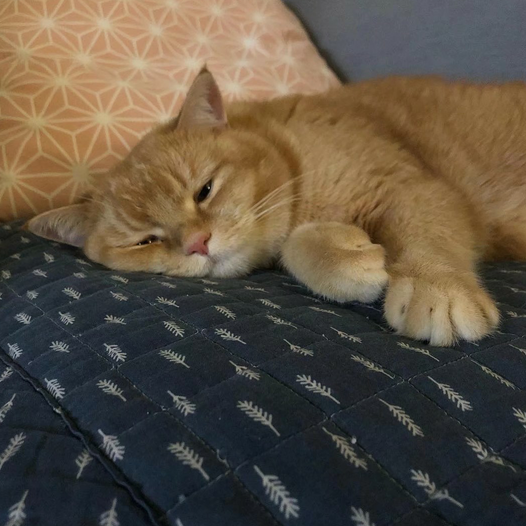 瘾