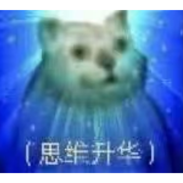文陋