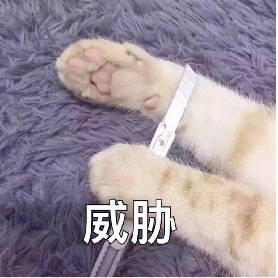 晚森。