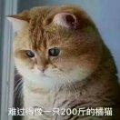 湛卢
