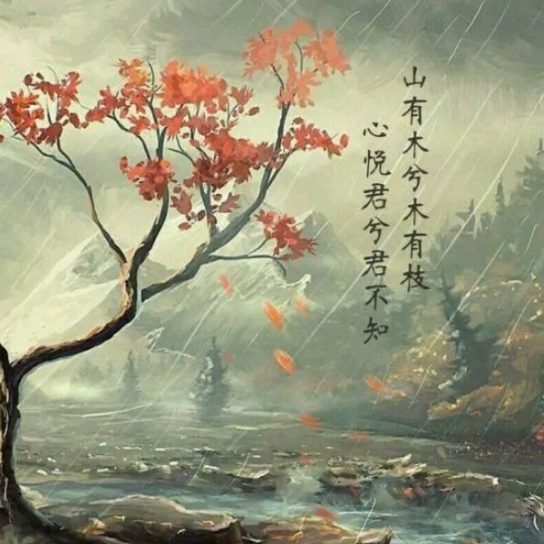 寻忆