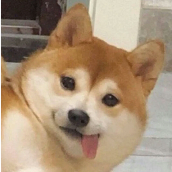 挂科天才