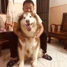 Willus