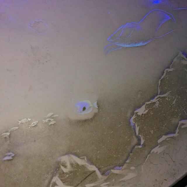 今年定个小目标