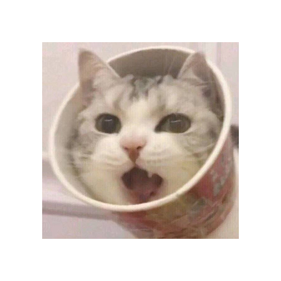 一口吃芒果