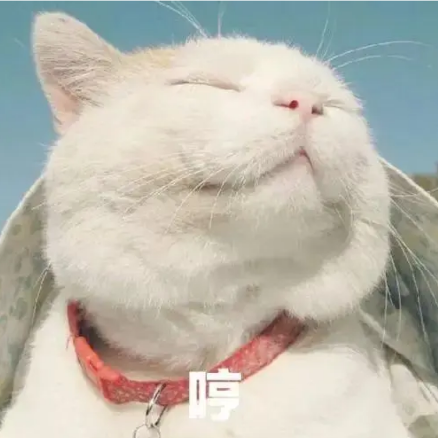 红红火火恍恍惚惚