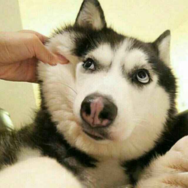 Day