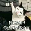 蒙达鲁克硫斯古比奇巴勒