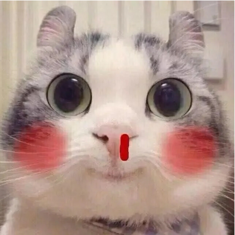 昵称