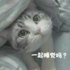 ༺❀ൢ玖༒柒ൢ❀༻