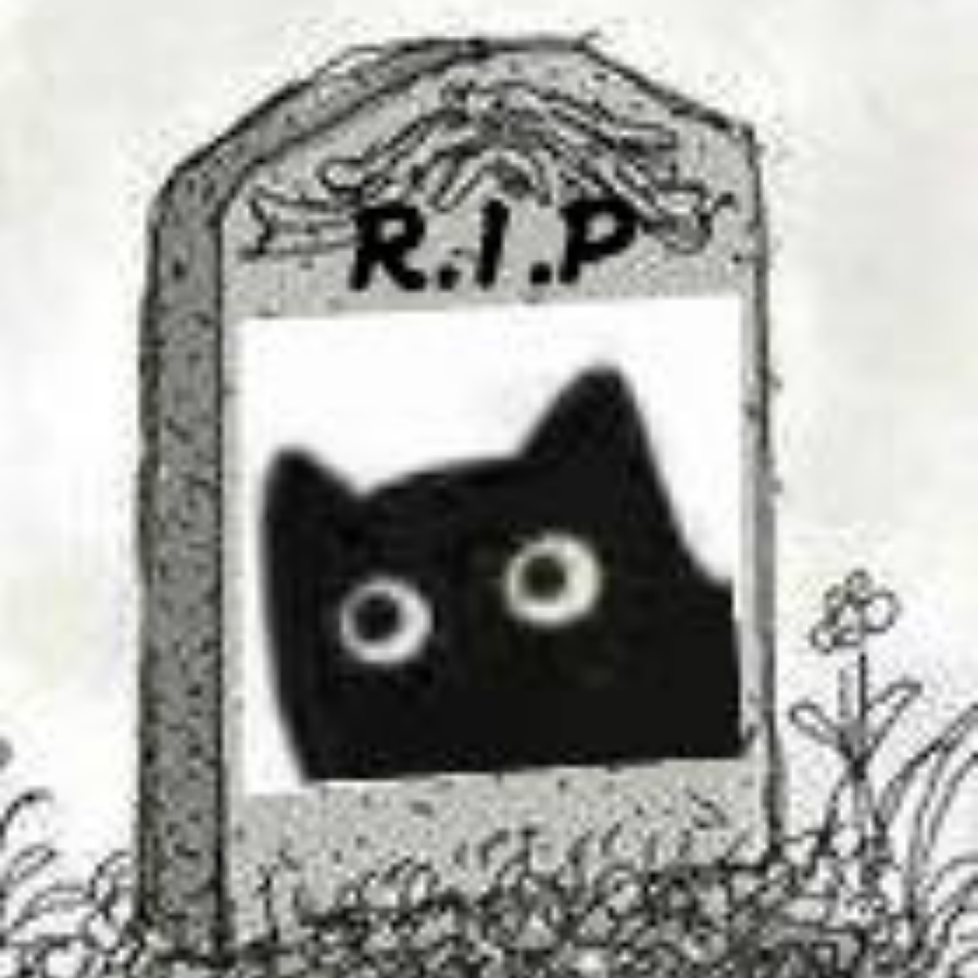 黑色猫猫头绝不认输