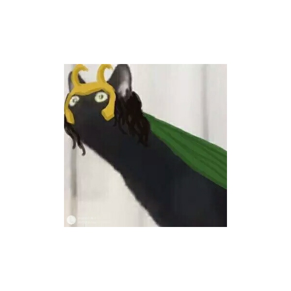 就是个手残