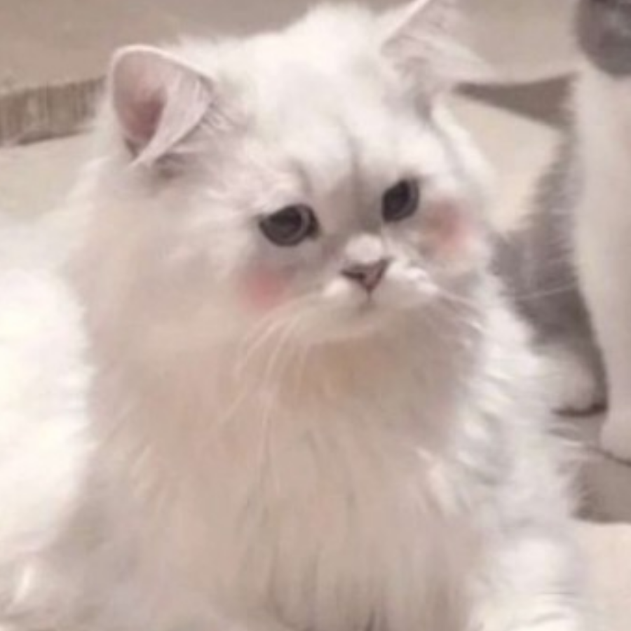 。