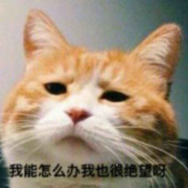 秒速五厘米