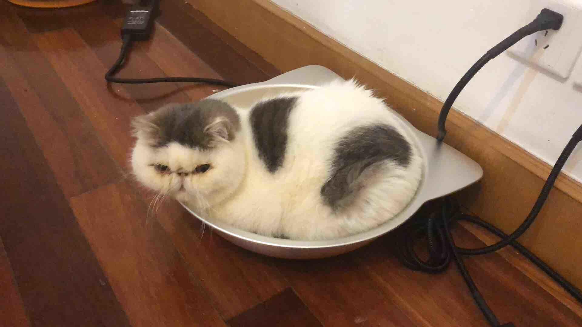 不精独乐