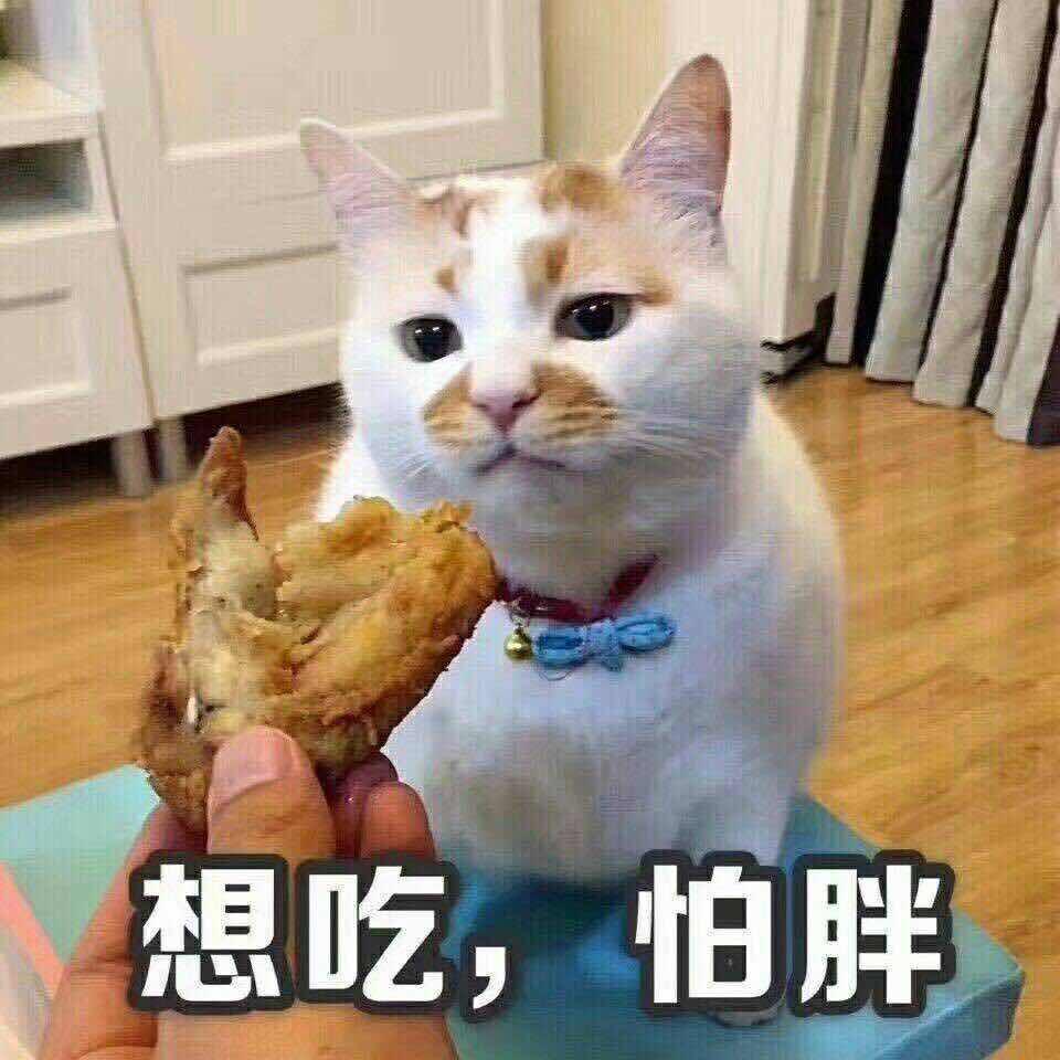 肥喵