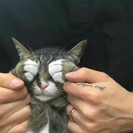二三