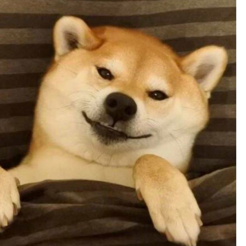 叶藏