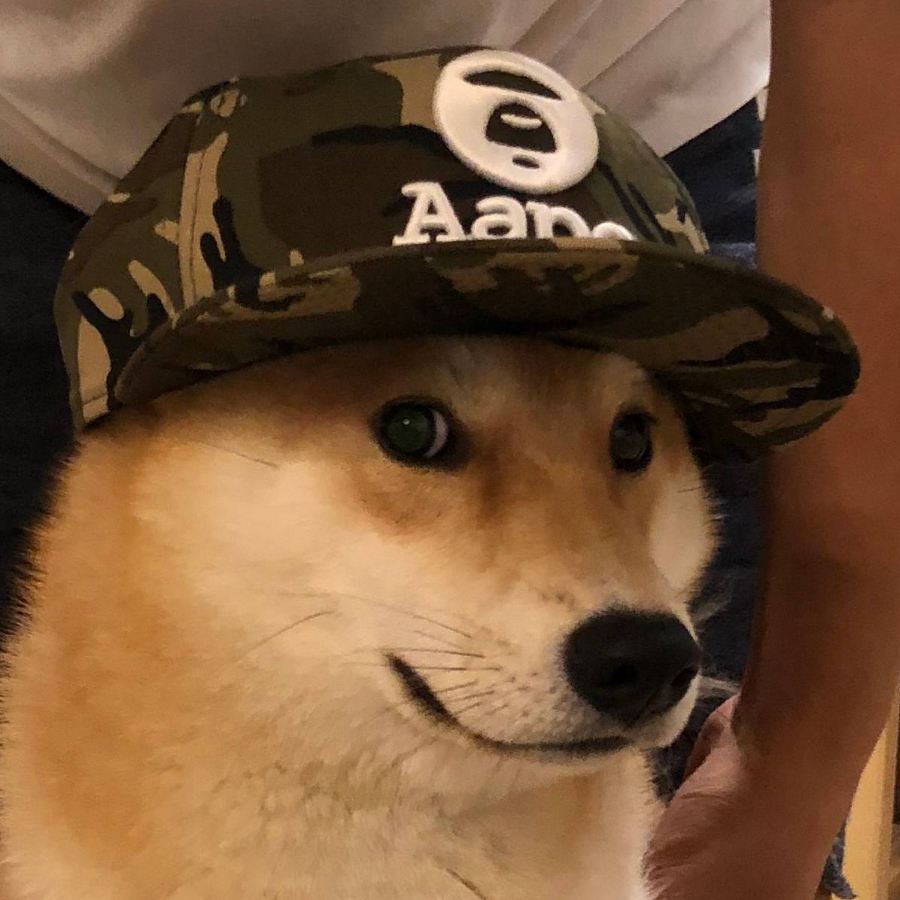 SigeFried