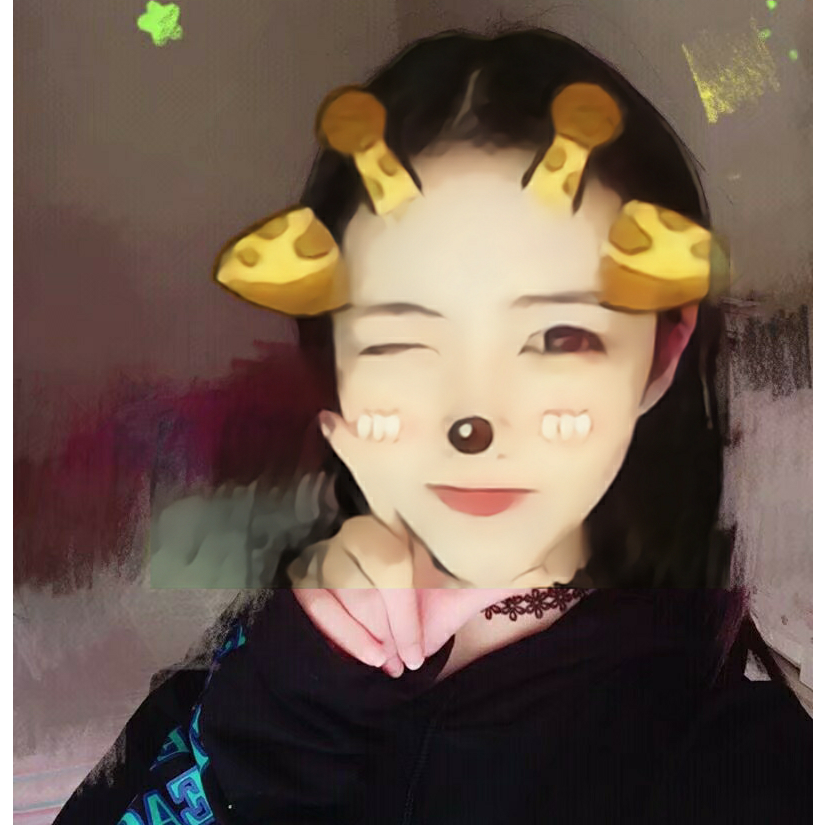 郁金香i