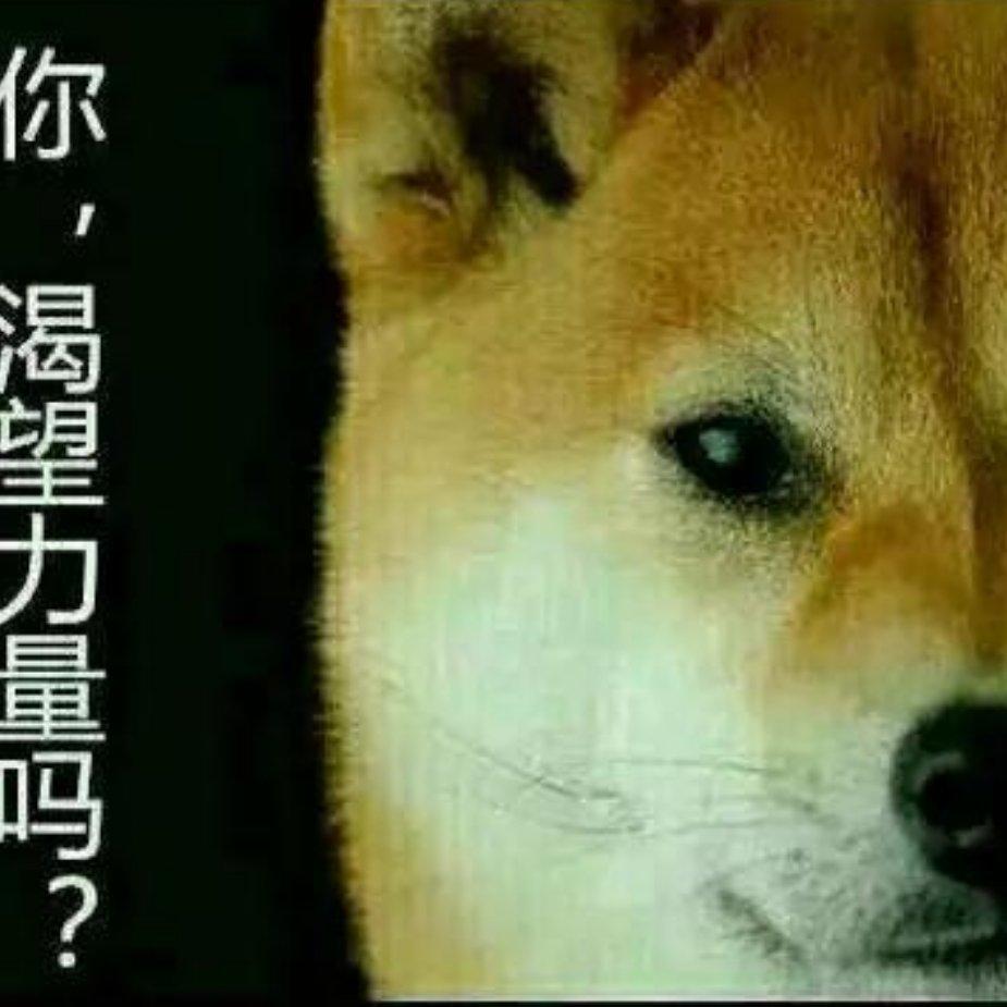 一只神游屋外的鲲