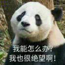 疯Σ(°Д°;