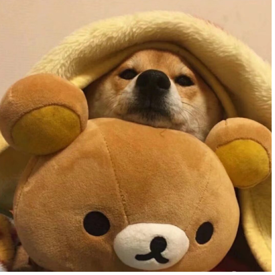 小猪