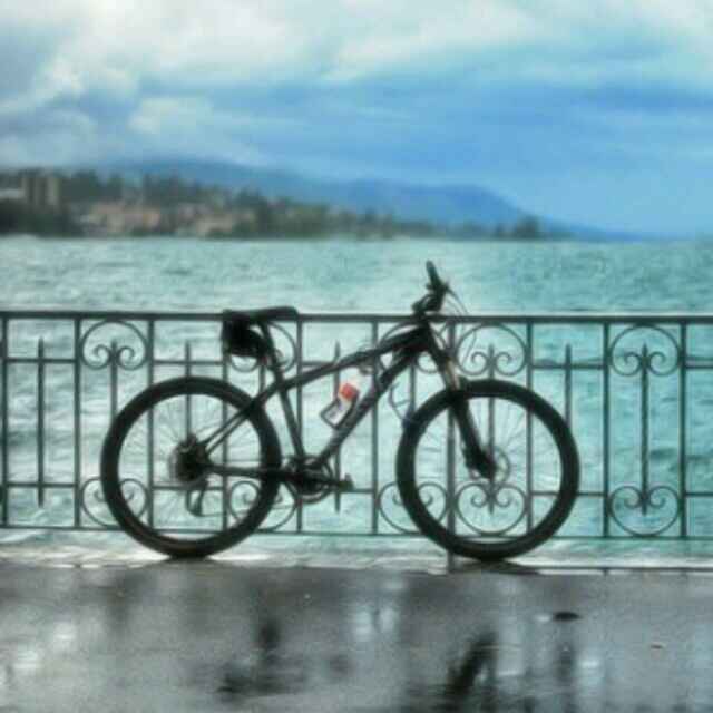 二十四桥夜月明