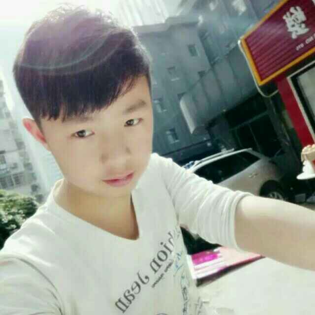 挽歌朽年