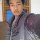 butteyfly