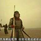 大神本人呵呵