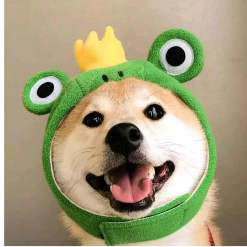 人在旅途