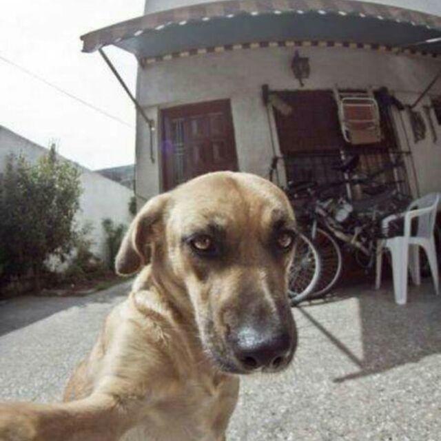 心无故丶妙不可言