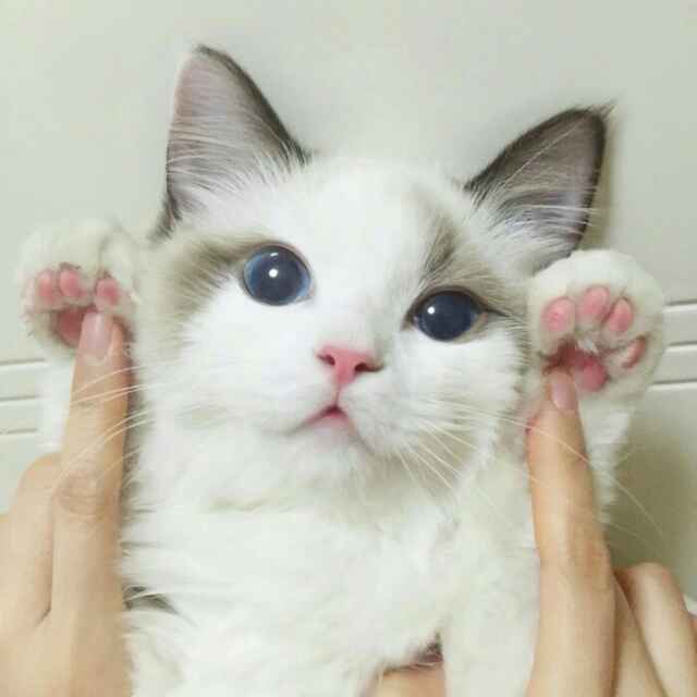 徒手开根号