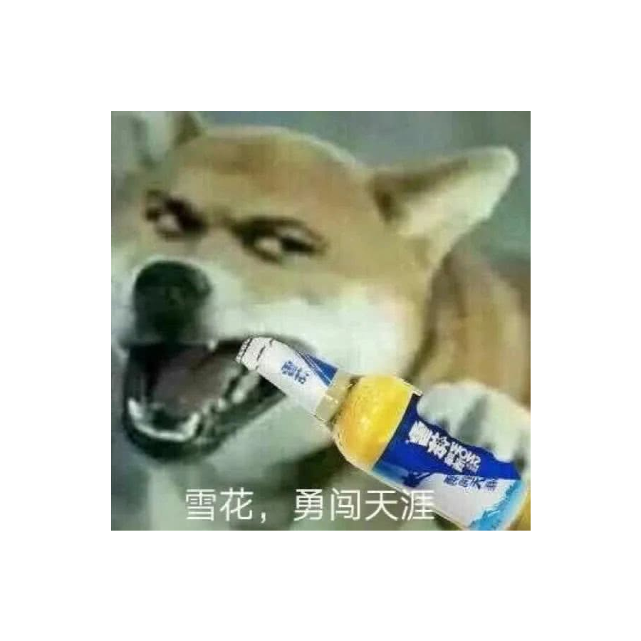 懒得取名