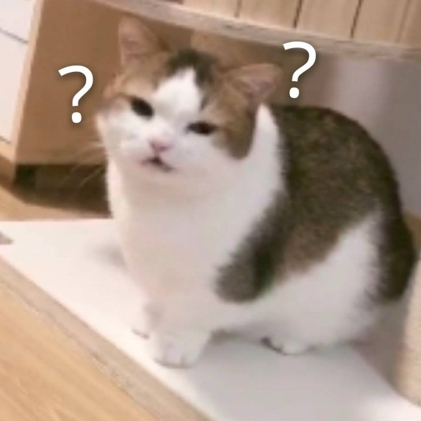 白露为霜。