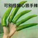 没 拦 住 車